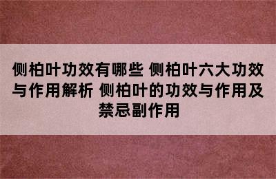 侧柏叶功效有哪些 侧柏叶六大功效与作用解析 侧柏叶的功效与作用及禁忌副作用